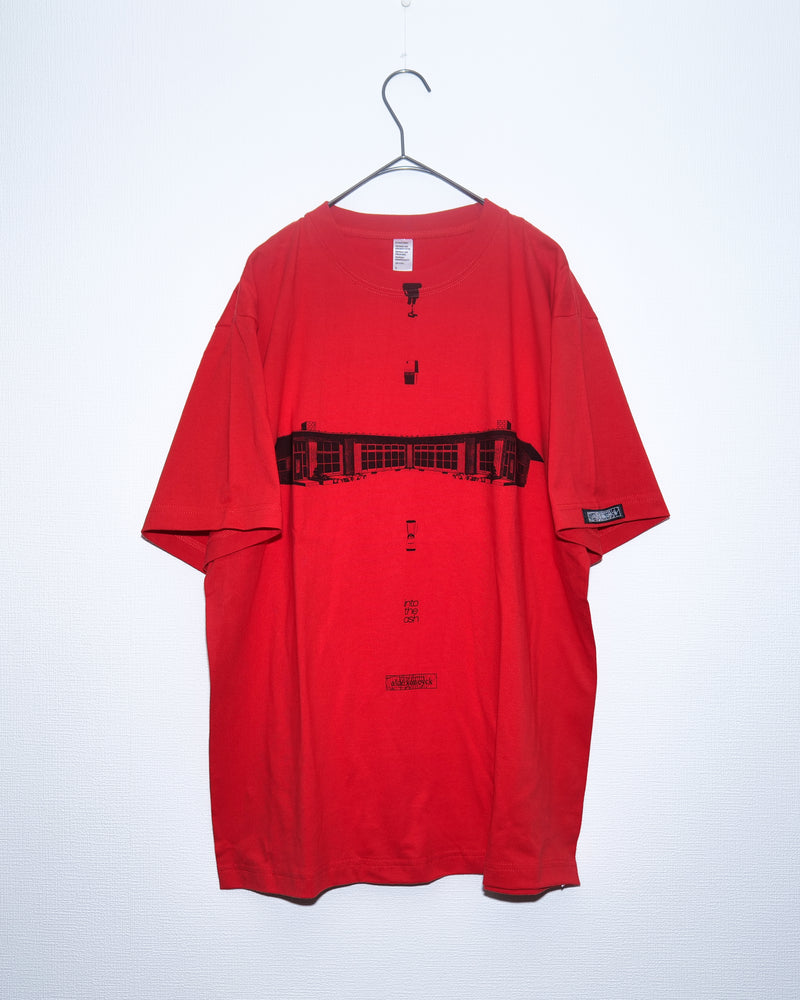 into the ash T -red-
